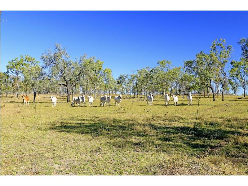 4271 ‘Huxham’ Capricorn Highway, Westwood QLD 4702