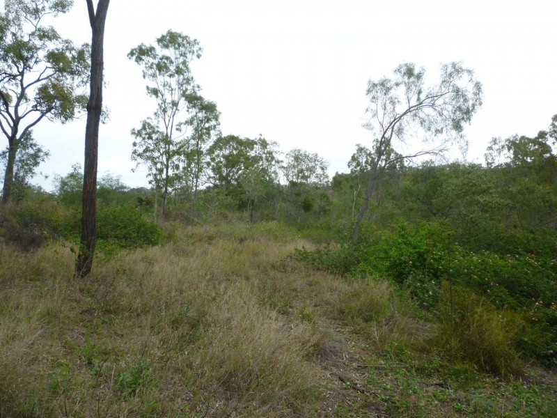 Lot 3 Razorback Road, Bouldercombe QLD 4702