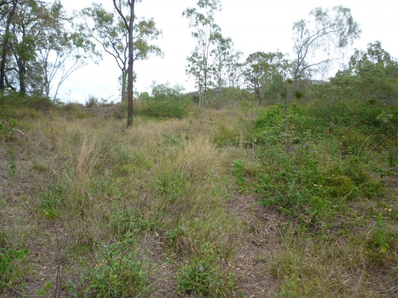 Lot 3 Razorback Road, Bouldercombe QLD 4702