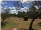 42 Gumtree Avenue, Bouldercombe QLD 4702