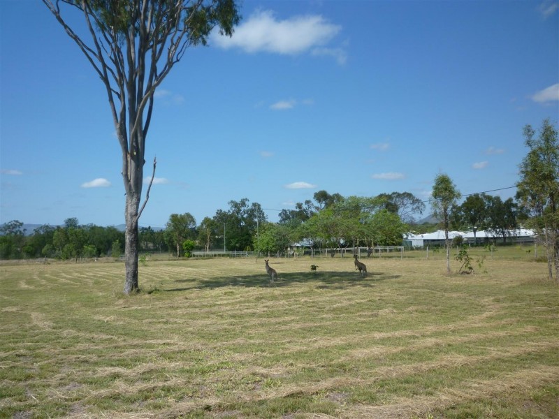 124 Lucas Street, Gracemere QLD 4702