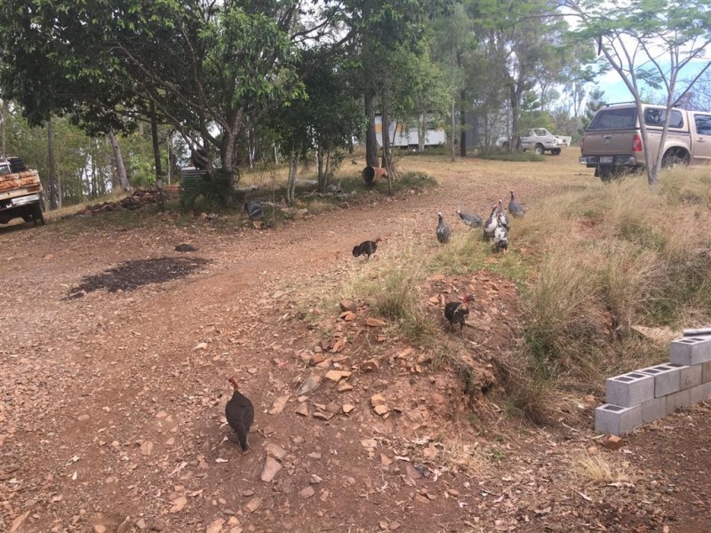 3 Corrys Lane, Moongan QLD 4714