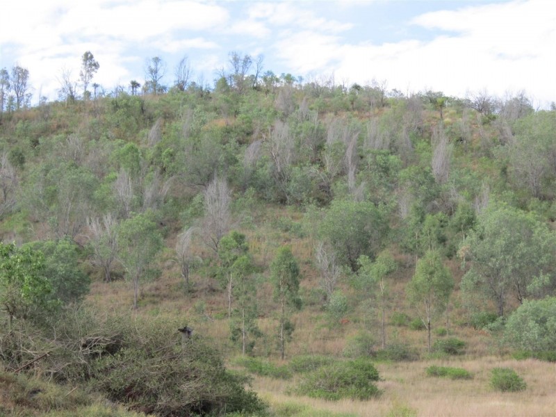 6B and 6C Randwick Lane, Mount Morgan QLD 4714