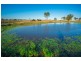 89 Boys Road, Alton Downs QLD 4702