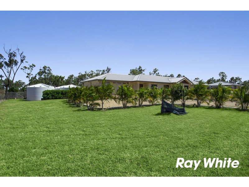 81 Clifton Street, Gracemere QLD 4702