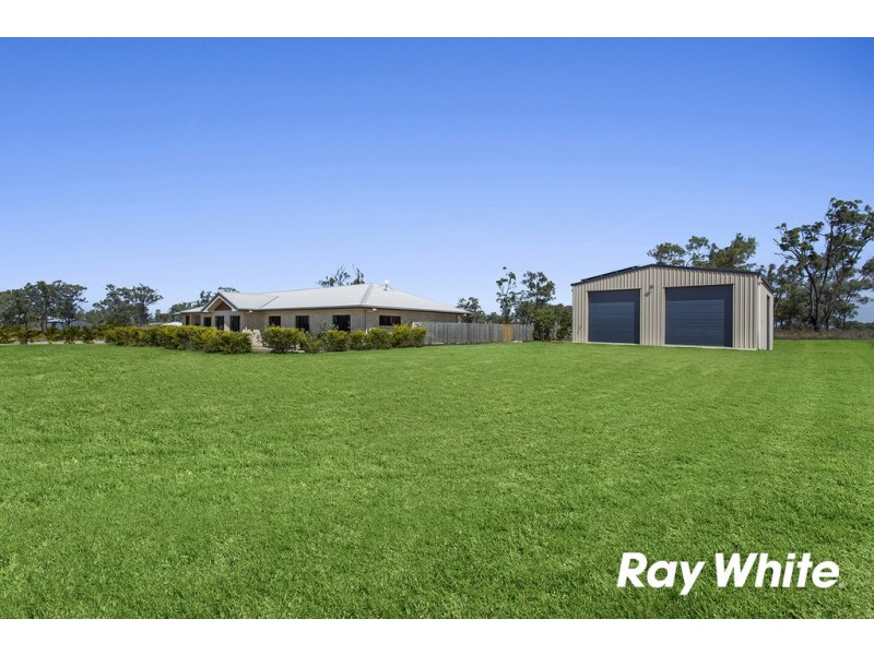 81 Clifton Street, Gracemere QLD 4702