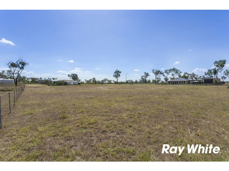 81 Clifton Street, Gracemere QLD 4702