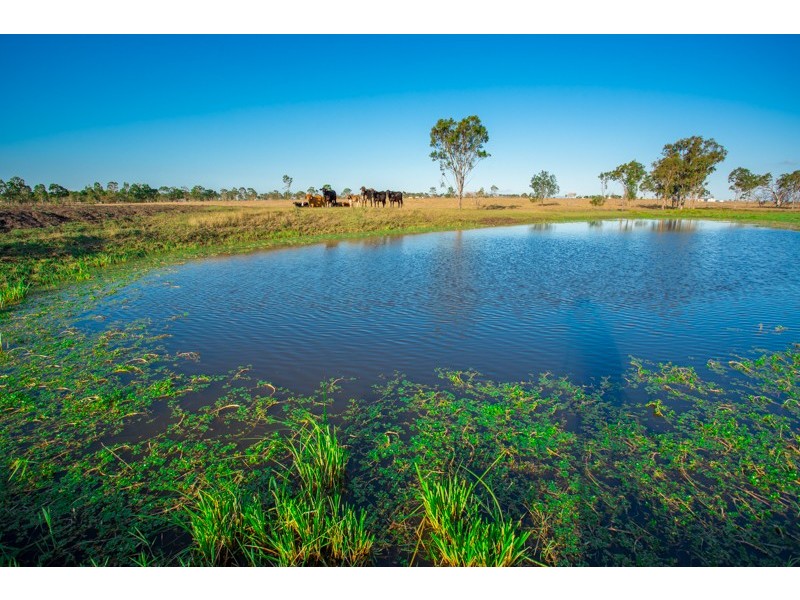 89 Boys Road, Alton Downs QLD 4702