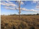 89 Boys Road, Alton Downs QLD 4702