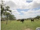 200 Morse Road, Raglan QLD 4697
