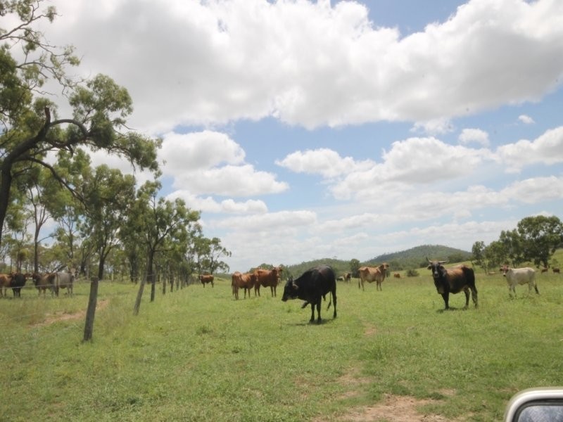 200 Morse Road, Raglan QLD 4697