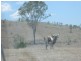 200 Morse Road, Raglan QLD 4697