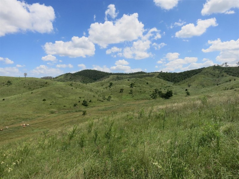 469 Cedarvale Loop Road, Bracewell QLD 4695