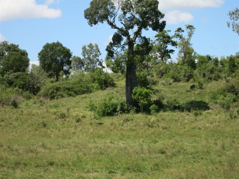 469 Cedarvale Loop Road, Bracewell QLD 4695