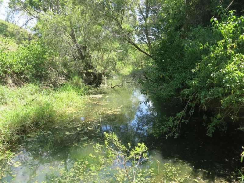 469 Cedarvale Loop Road, Bracewell QLD 4695