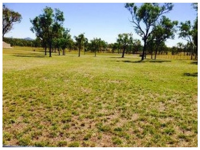 109 Clifton Street, Gracemere QLD 4702