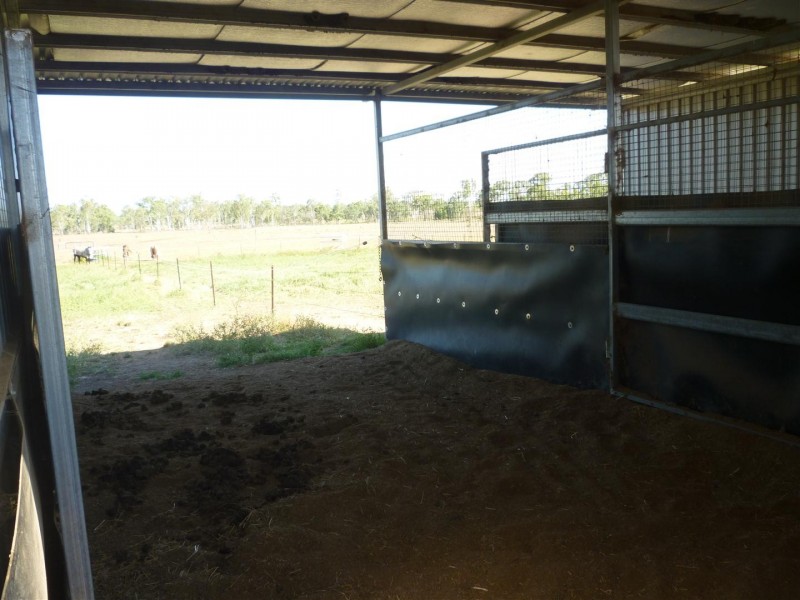 218 South Yaamba Road, Alton Downs QLD 4702