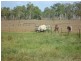 218 South Yaamba Road, Alton Downs QLD 4702