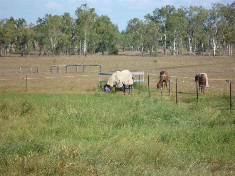 218 South Yaamba Road, Alton Downs QLD 4702