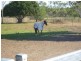 218 South Yaamba Road, Alton Downs QLD 4702