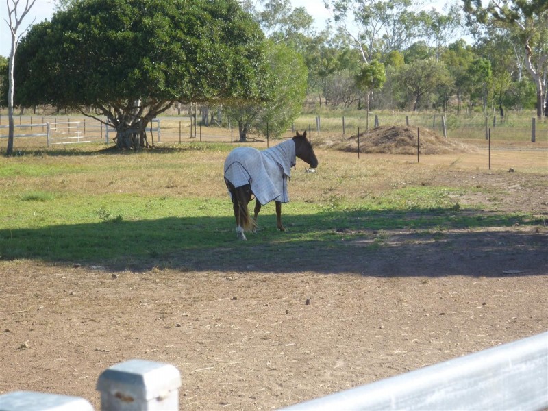 218 South Yaamba Road, Alton Downs QLD 4702