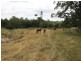 161 Pollocks Road, Bracewell QLD 4695
