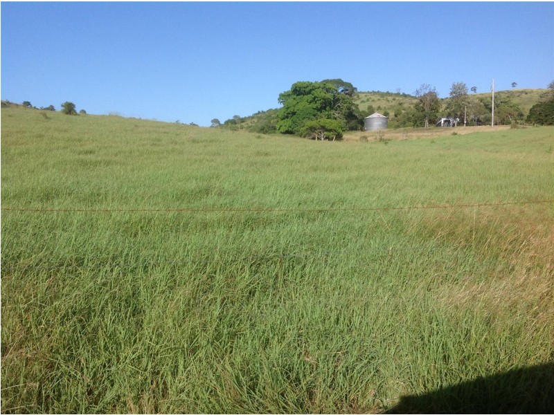 161 Pollocks Road, Bracewell QLD 4695