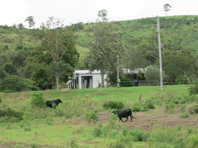 161 Pollocks Road, Bracewell QLD 4695