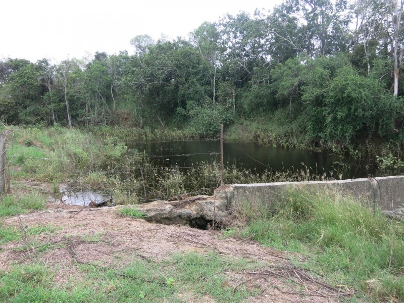 161 Pollocks Road, Bracewell QLD 4695