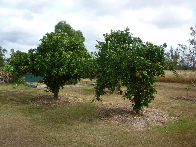 233 Allen Road, Gracemere QLD 4702