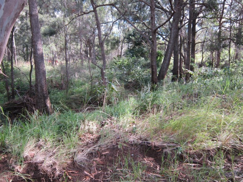 17 Harte Lane, Struck Oil QLD 4714