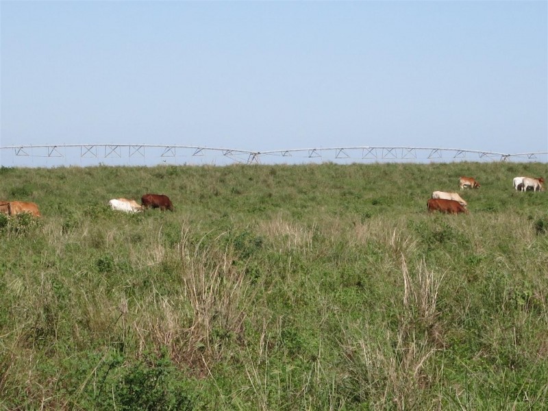 0 ‘Wattlebank’ Eden Bann Road, Canoona QLD 4702