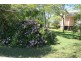 0 ‘Wattlebank’ Eden Bann Road, Canoona QLD 4702