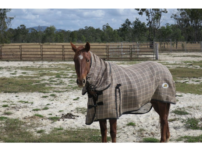 114 “Lilybong” South Ulam Road, Bajool QLD 4699