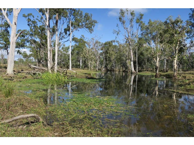 114 “Lilybong” South Ulam Road, Bajool QLD 4699