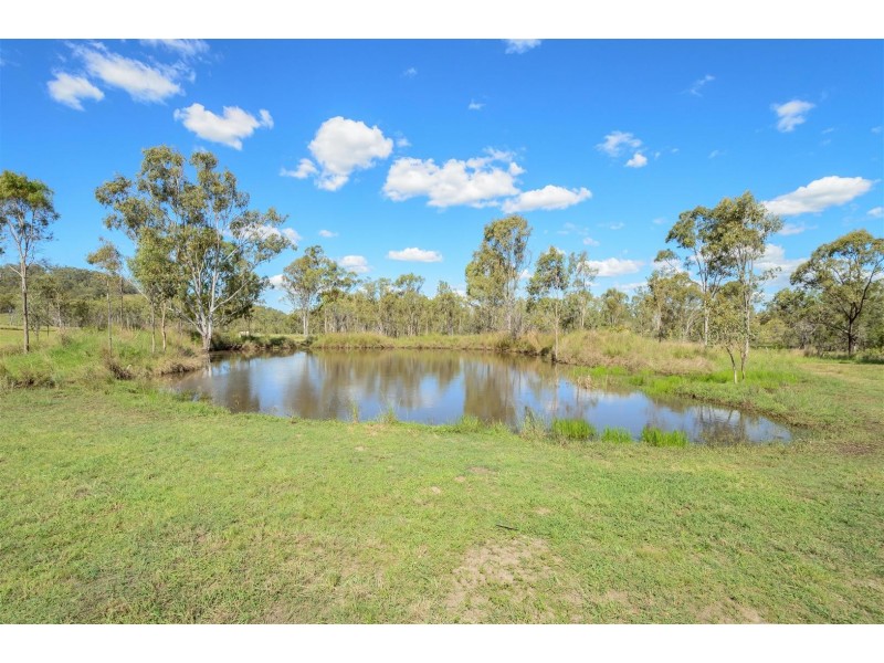 431 The Narrows Road, Mount Larcom QLD 4695