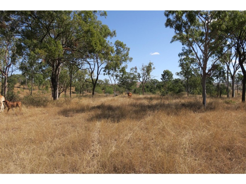 208 Hunter Gully Road, Morinish QLD 4702