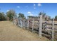 208 Hunter Gully Road, Morinish QLD 4702