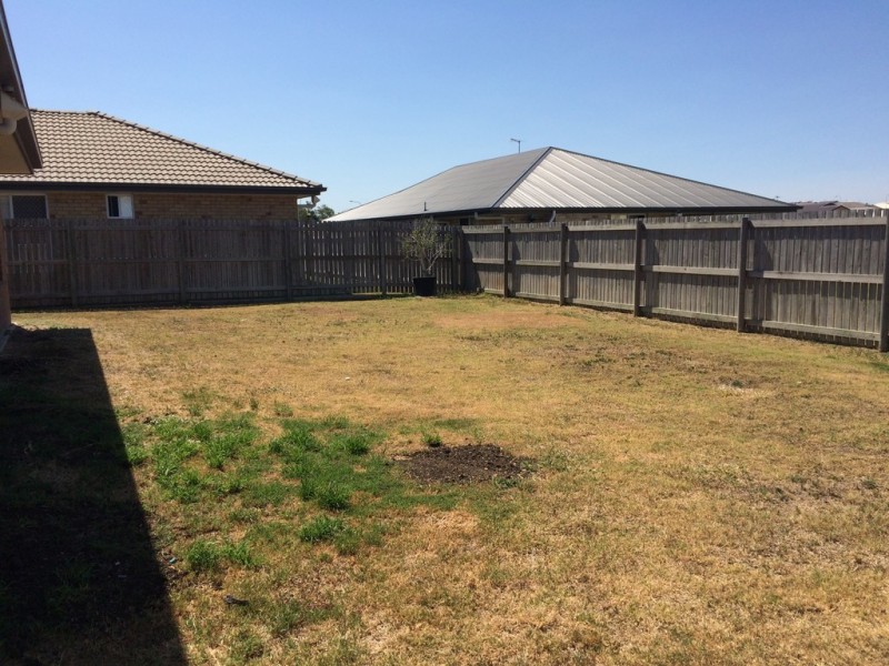 4 Press Court, Gracemere QLD 4702