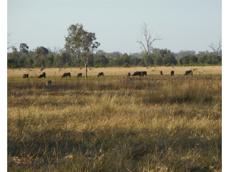 Lot 241 Titman Road, Fairy Bower QLD 4700