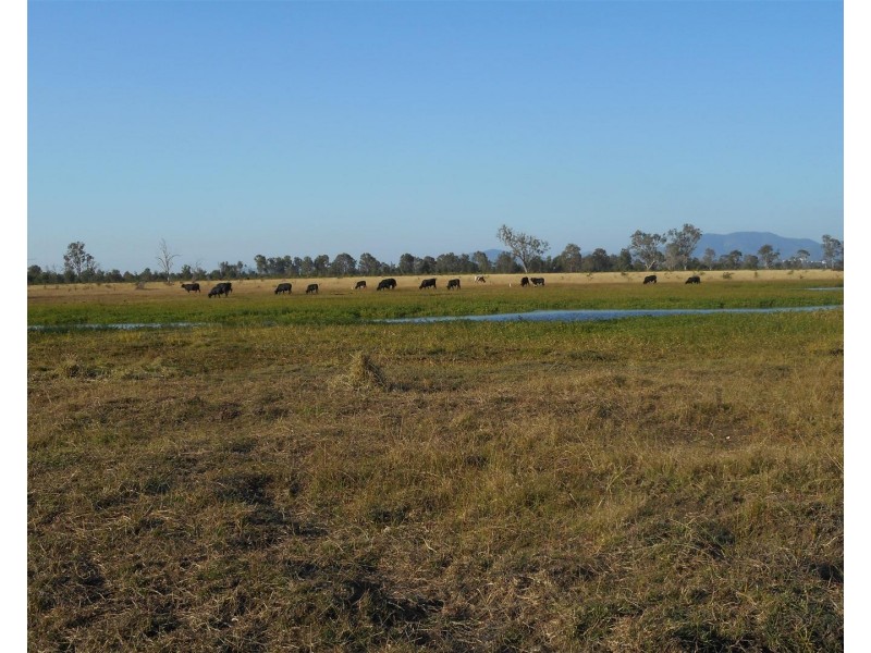 Lot 241 Titman Road, Fairy Bower QLD 4700