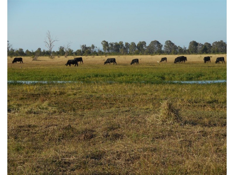 Lot 241 Titman Road, Fairy Bower QLD 4700