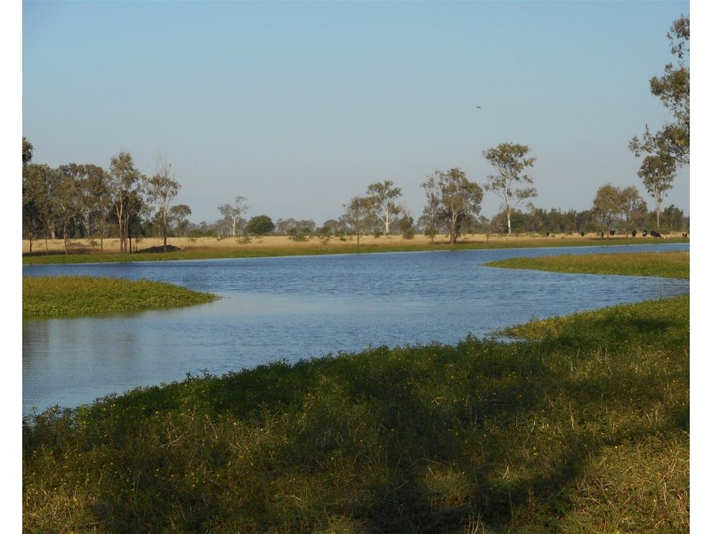 Lot 241 Titman Road, Fairy Bower QLD 4700