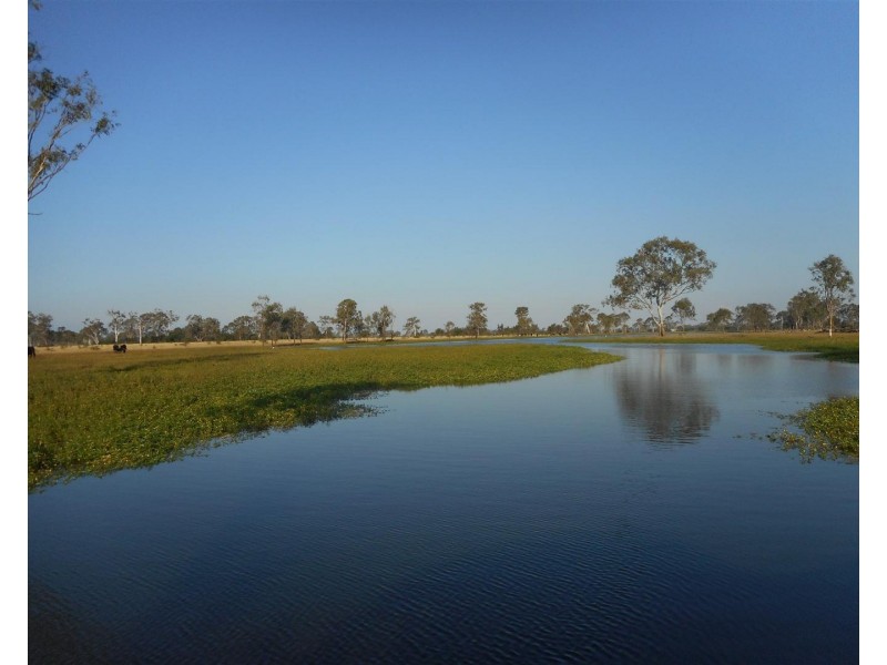 Lot 241 Titman Road, Fairy Bower QLD 4700