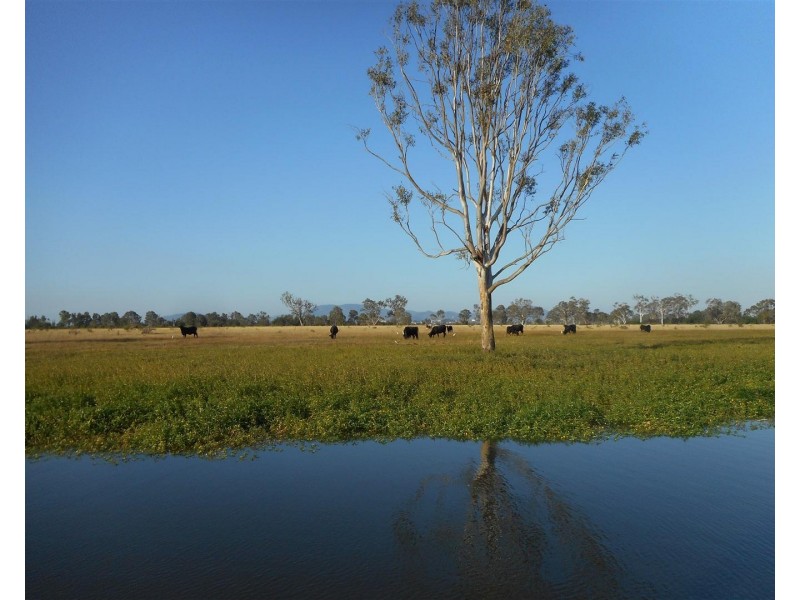 Lot 241 Titman Road, Fairy Bower QLD 4700