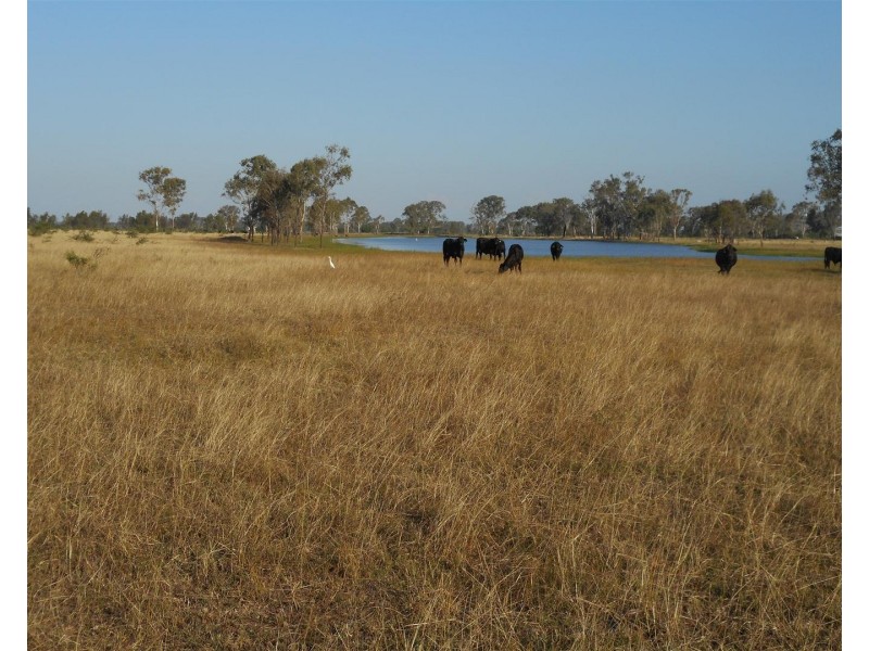 Lot 241 Titman Road, Fairy Bower QLD 4700