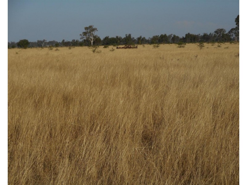 Lot 241 Titman Road, Fairy Bower QLD 4700