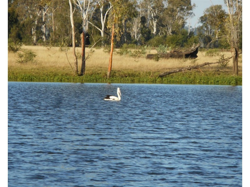 Lot 241 Titman Road, Fairy Bower QLD 4700