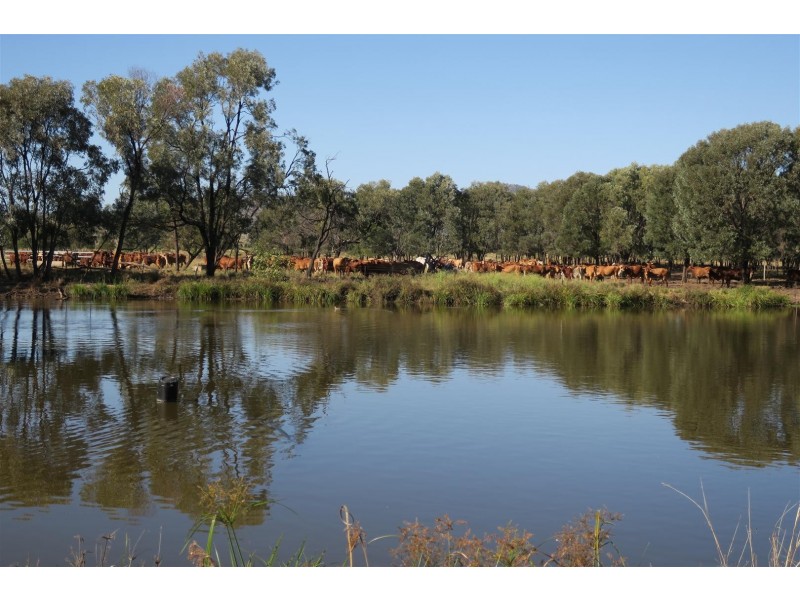 520 Donovan Road, Morinish South QLD 4702