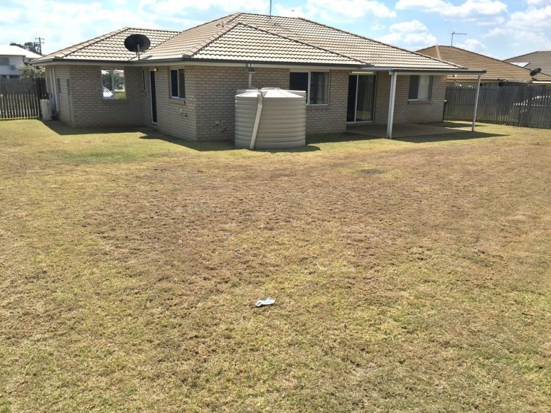 53 Lillypilly Avenue, Gracemere QLD 4702
